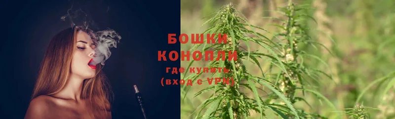 где можно купить наркотик  Навашино  Конопля SATIVA & INDICA 